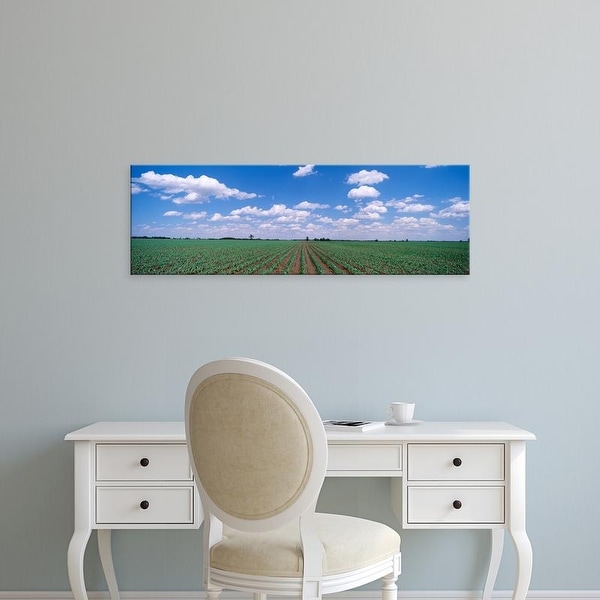Easy Art Prints Panoramic Images's 'Cornfield, Marion County, Illinois, USA' Premium Canvas Art