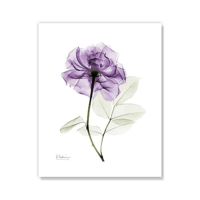 Purple Rose I