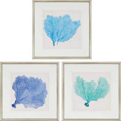 Sea Fan II S/3 Framed Art Giclee Under Glass - Blue