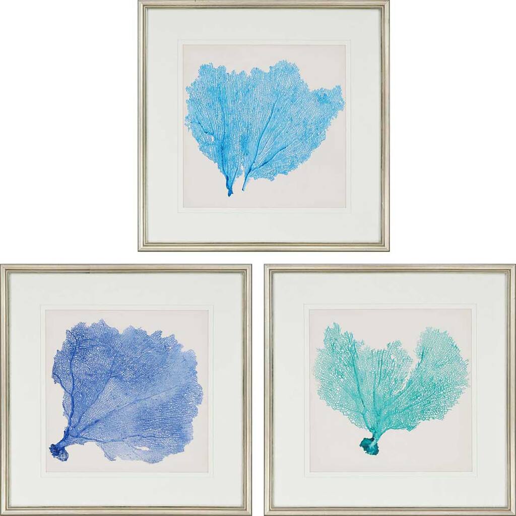 Sea Fan II S/3 Framed Art Giclee Under Glass - Blue