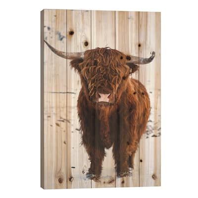 Highland Cattle I Print On Wood by Steffen Fossbakk - Multi-Color