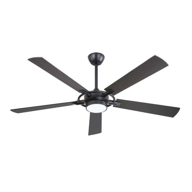 MLiAN 60 In. 5-Plywood Blades Indoor Ceiling Fan with Light Kit and Remote
