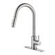 Option Brushed Nickel