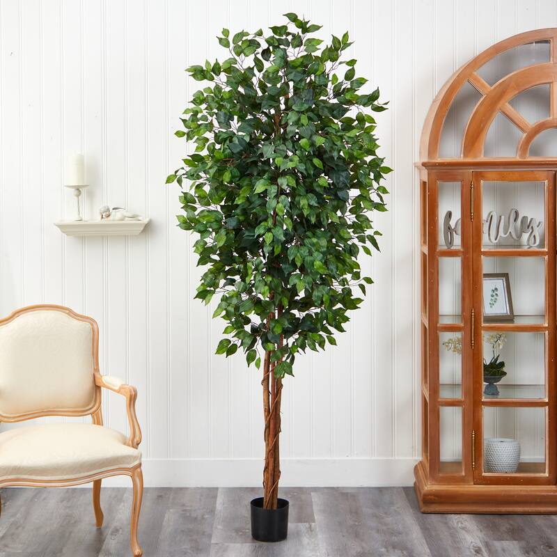 7’ Ficus Silk Artificial Tree in Black Pot