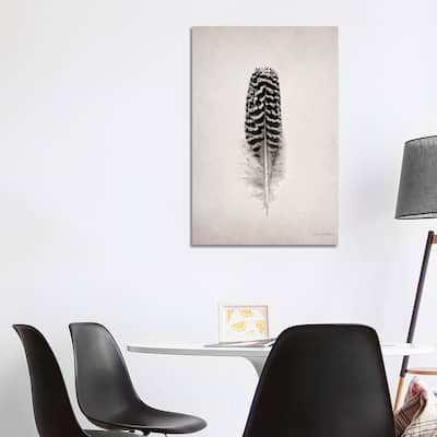 iCanvas "Feather I" by Debra Van Swearingen Canvas Print