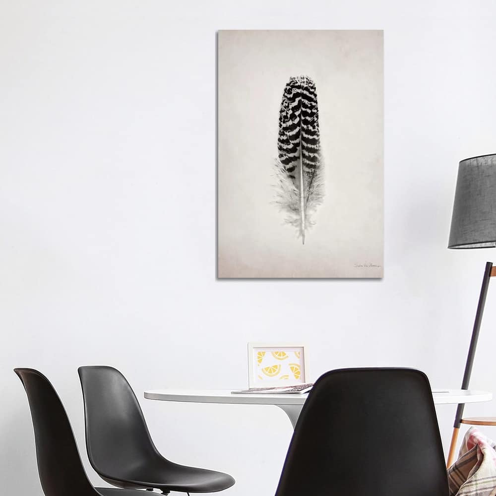 iCanvas "Feather I" by Debra Van Swearingen Canvas Print