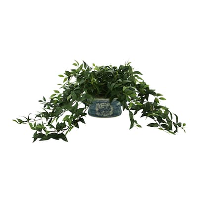 Ruscus Ivy Arranged in Decorative Ceramic Pot - Green