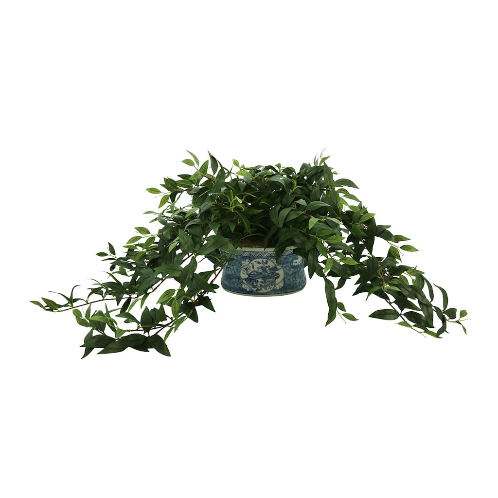Ruscus Ivy Arranged in Decorative Ceramic Pot - Green