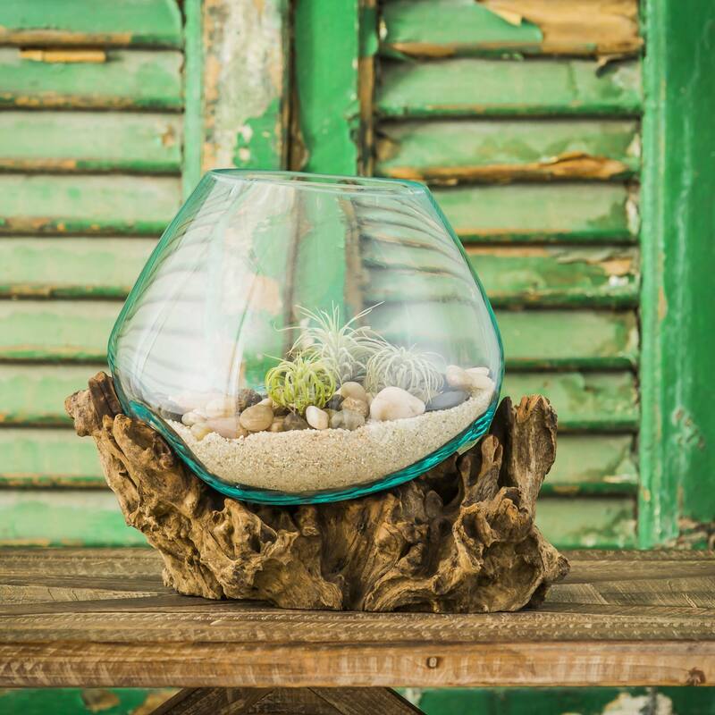 11 in. Medium Glass Planter on Driftwood