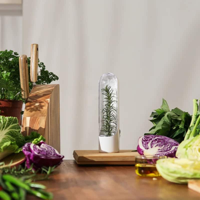 Prepara Set of 2 Herb Savor Fresh Herb Keeper