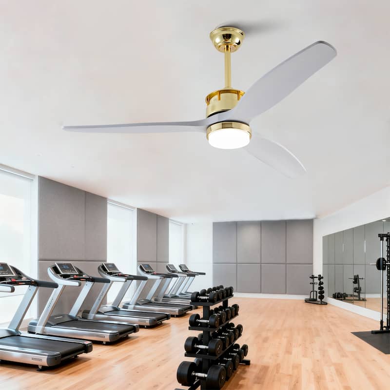 52 Inch White and Gold Ceiling Fans with Lights and Remote, 3 Solid Wood Blades, 6 Speeds, Quiet DC Motor - Gold+White