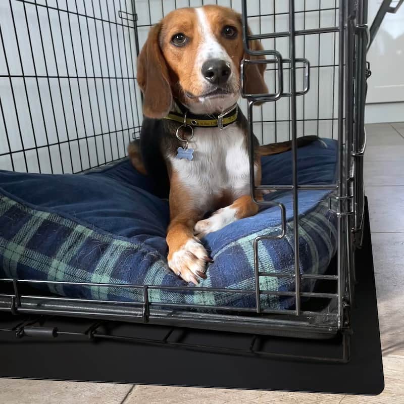 Floortex® P-Tex Polypropylene Pet Crate Floor Protection Mat - XXL - 32" x 50" - Black - 32" x 50"