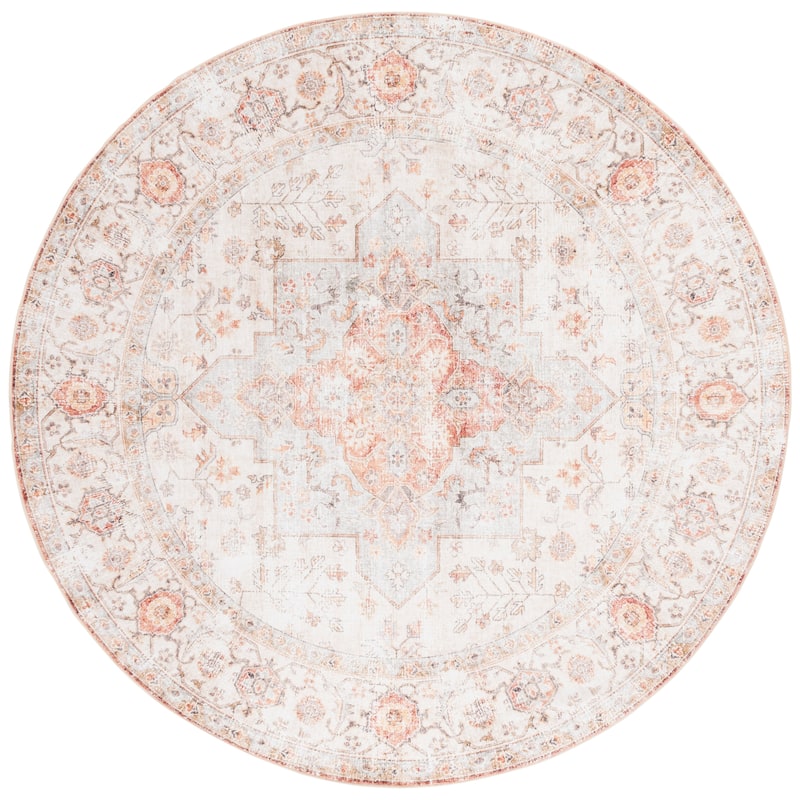 SAFAVIEH Arizona Minica Vintage Rug