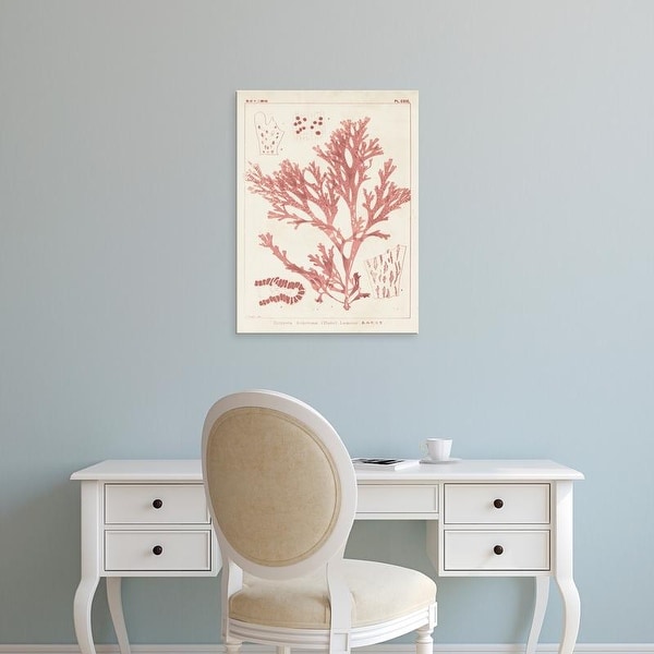 Easy Art Prints Vision Studio's 'Antique Coral Seaweed I' Premium Canvas Art
