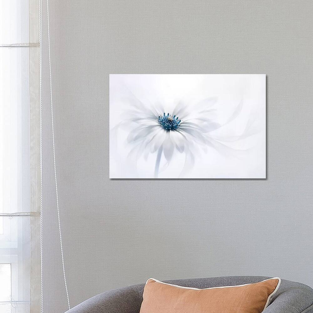 iCanvas "Serenity" by Jacky Parker Canvas Print
