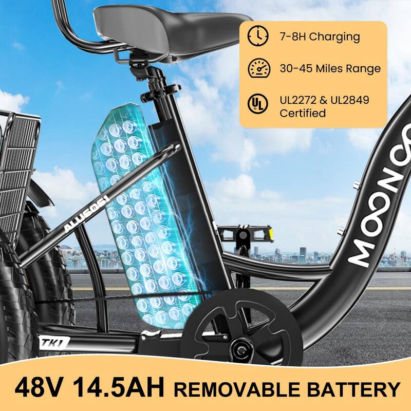 DoCred 20"x4" Fat Tire Electric Tricycle, 48V 500W with 7 Speed Ebike