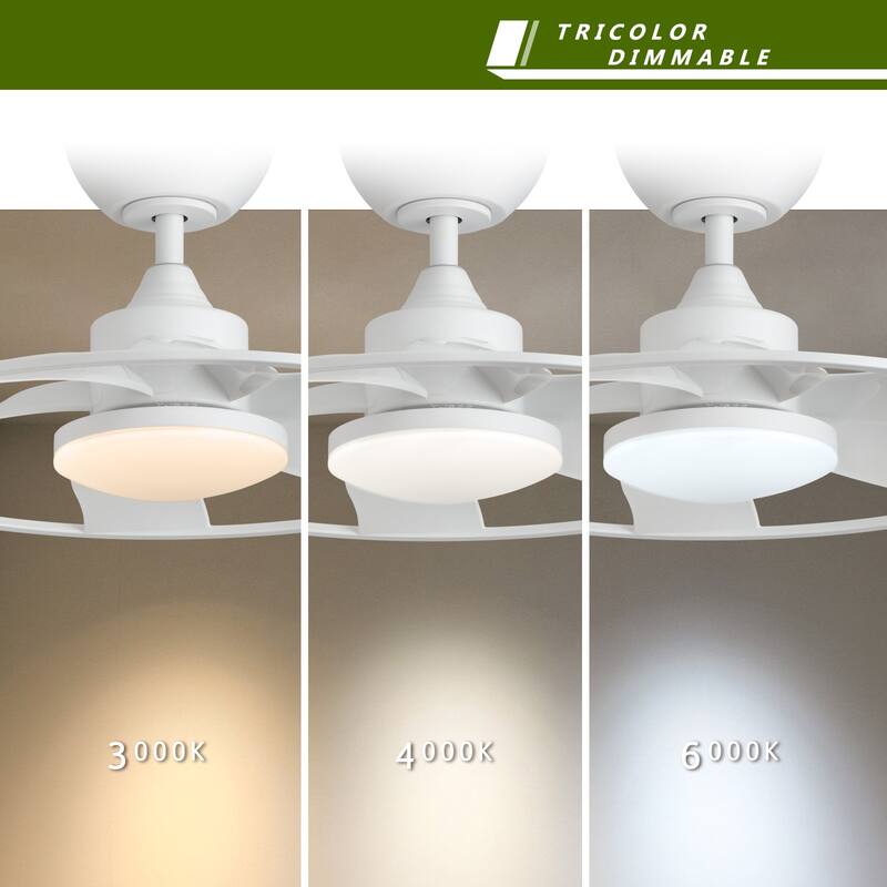 Light Pro 22 in. LED Indoor Matt white Smart Ceiling Fan with DC Motor