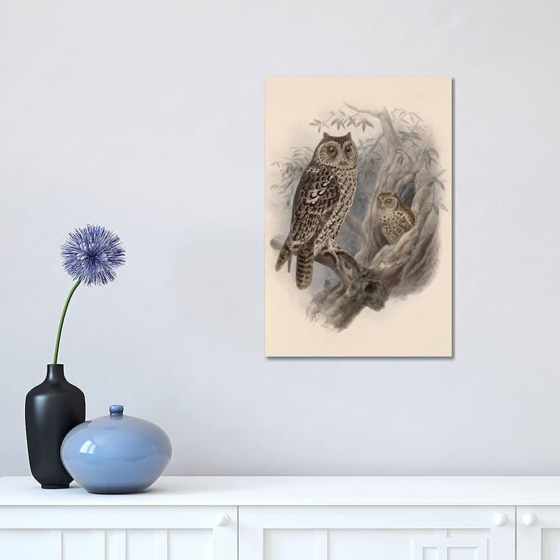 iCanvas "Tree Owls, 1902" by Vintage Apple Collection Canvas Print - 18x12x1.5