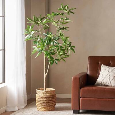 Roomfitters Artificial Money Tree in Black Pot, Tall Faux Indoor Plant Decor for Living Room, Bedroom, and Office