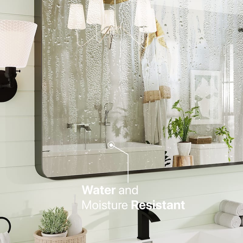 Eviva Harmony 60" x 28" Rectangular Black Metal Framed Mirror - N/A