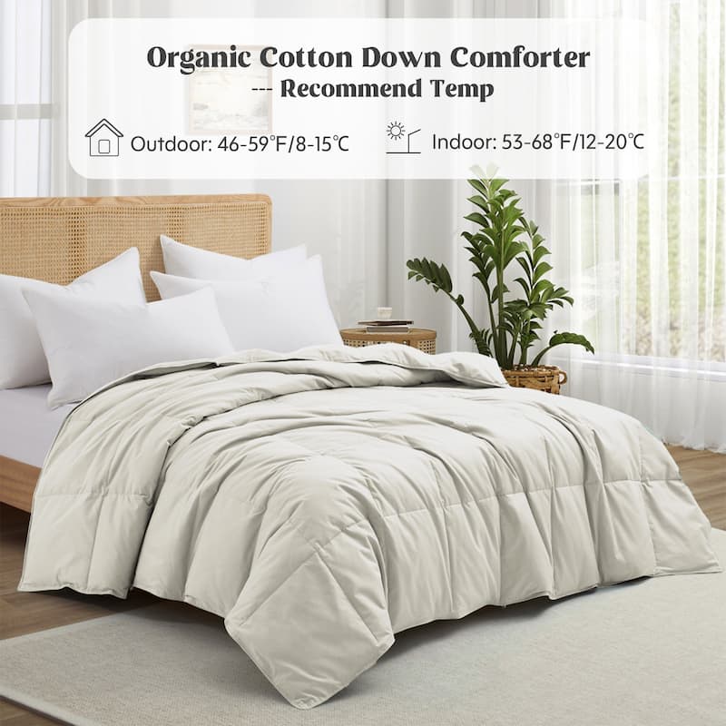 All Season 300TC Organic Cotton Down Comforter - 100% Natural, Chemical-Free, Medium Warmth Duvet Insert