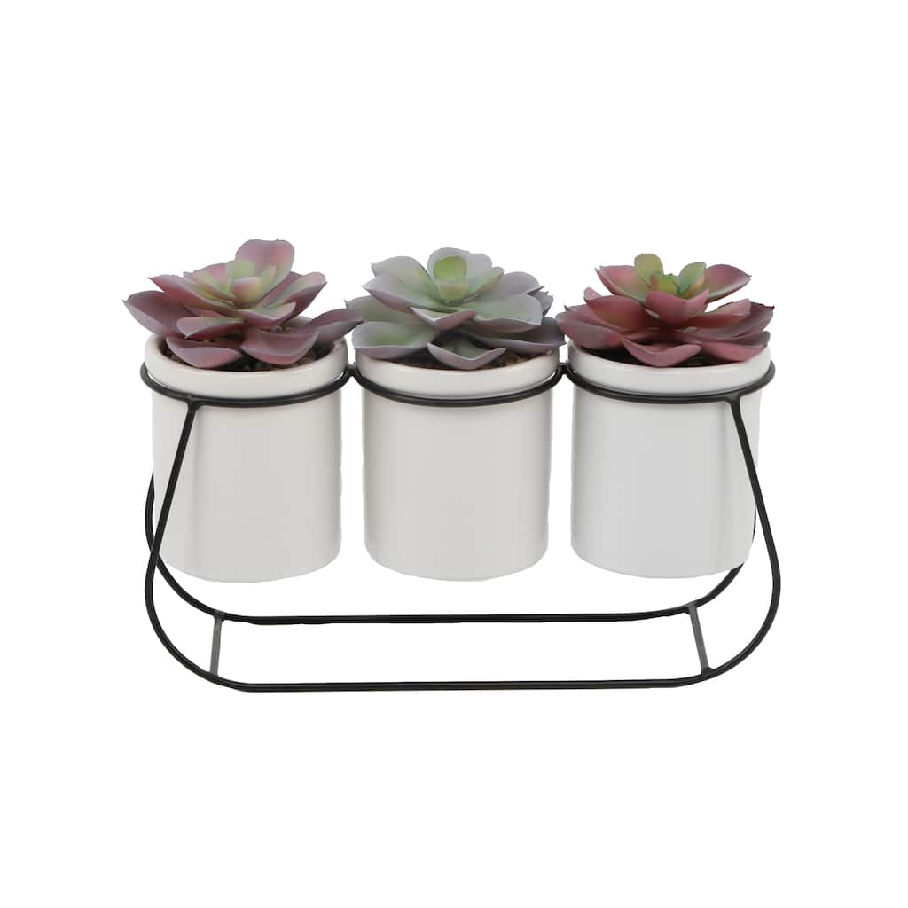 Set of 3 Succ In 3.5" Ceramic on Metal Stand