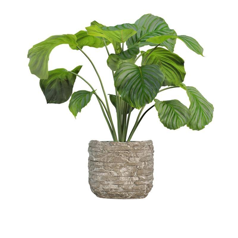 5 inch Ceramic Flower Planter Pot - Beige