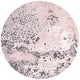preview thumbnail 35 of 42, SAFAVIEH Glacier Liliana Watercolor Modern Abstract Rug