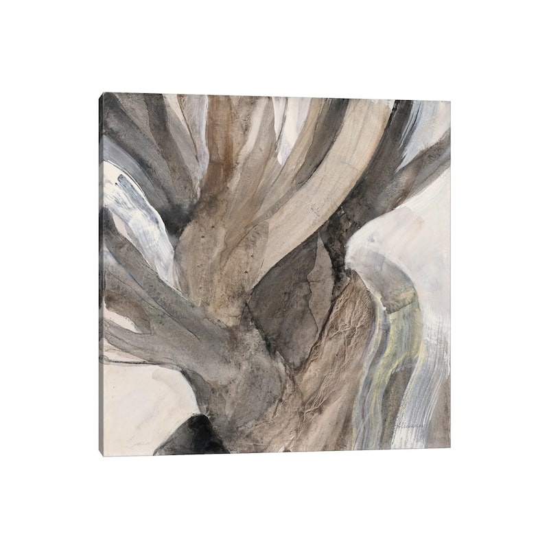 iCanvas "Driftwood I" by Albena Hristova Canvas Print