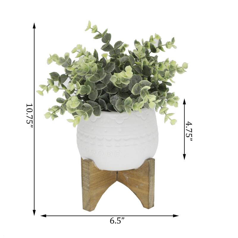 Eucalyptus in 5" Matte White Mayan Ceramic Pot on Wood Stand ,E PACK - ONE-SIZE