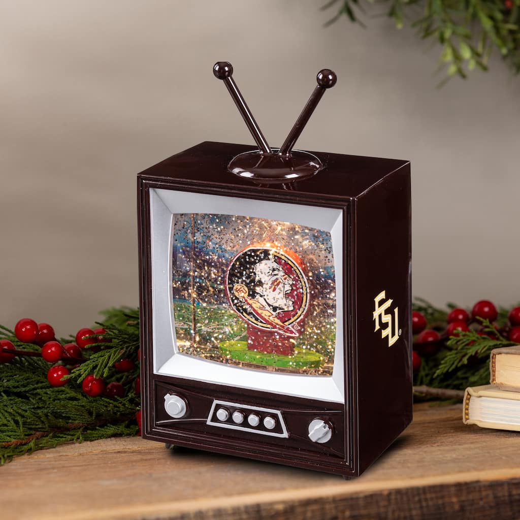 Florida State Univ 8 in. Vintage TV Light Up Water Lantern Snow Globe