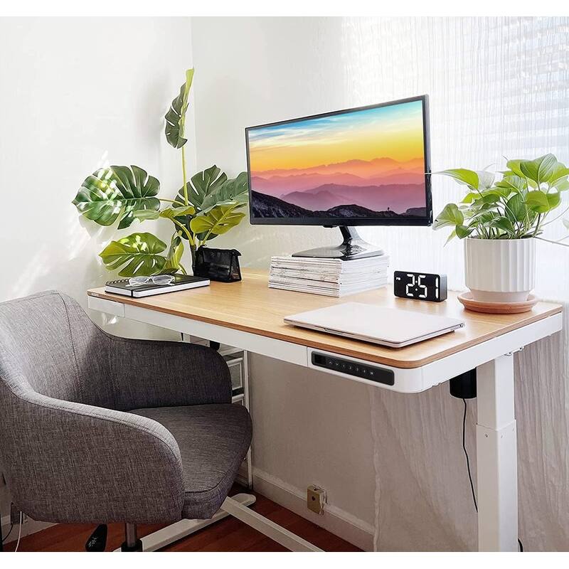 Rise Up Essential electric standing desk small 23.6x47.2 maple desktop