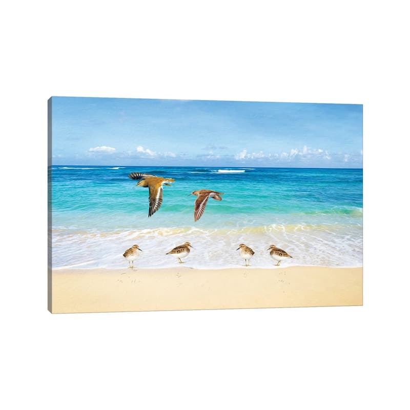 iCanvas "Sandpiper Ocean Beach Party" by Laura D Young Canvas Print