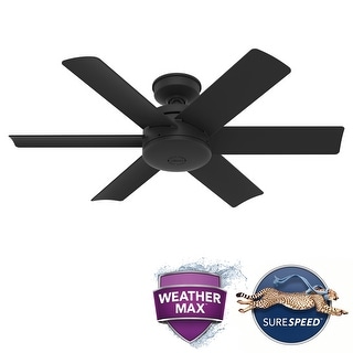 Hunter 44" Sea Edge Outdoor Ceiling Fan w/ Wall Control, WeatherMax Wet Rated, Corrosion Resistant - Exclusive!