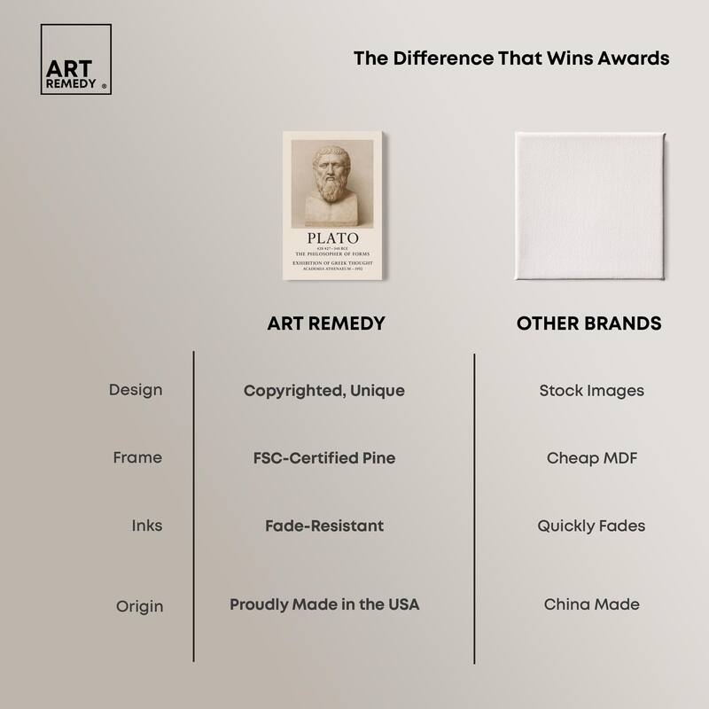 Philosopher of Forms Canvas by Art Remedy, Gallery Wrapped