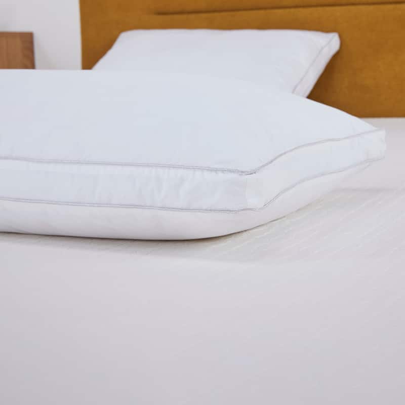 Artdeco Home White Queen Size Pillows (Set of 2)