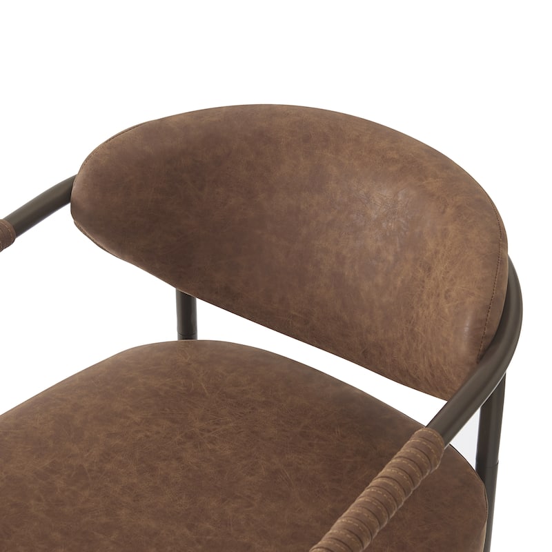 Christopher Knight Home - Thatch Iron-Frame Dining Armchairs with Upholstered Cushion (Set of 2)