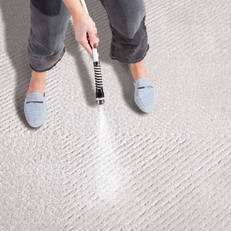 SAFAVIEH Stella Lissi Modern & Contemporary Rug