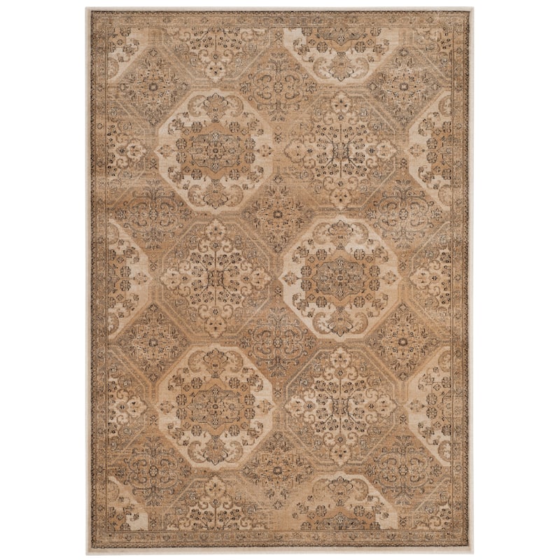 SAFAVIEH Vintage Distressed Boho Retta Oriental Rug
