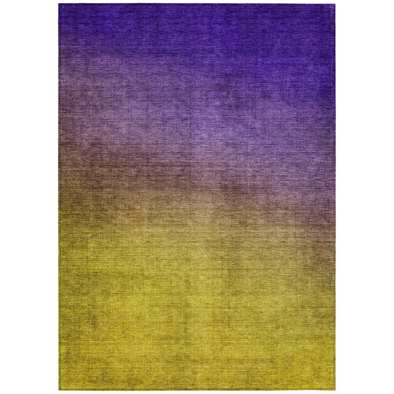 HomeRoots Ombre Transitional Rectangle Outdoor Rug