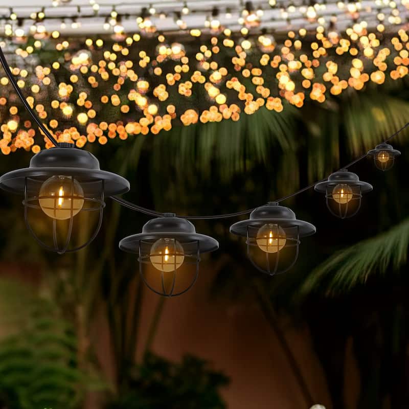 10-Light Indoor/Outdoor G40 Metal Cage String Lights, 10 ft., Black (2-Pack)