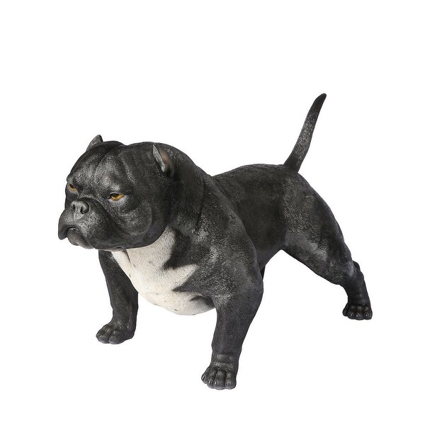 american bully exotic