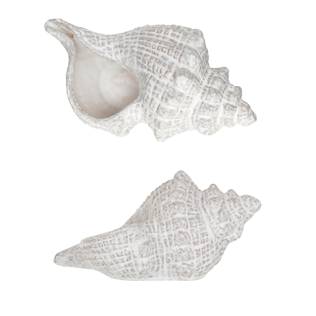 Stoneware Conch Shell Accent Décor - 10.4"L x 5.9"W x 5.1"H