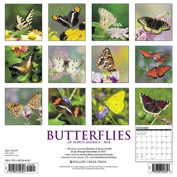 Shop Butterflies Wall Calendar Butterfly Insects By Willow