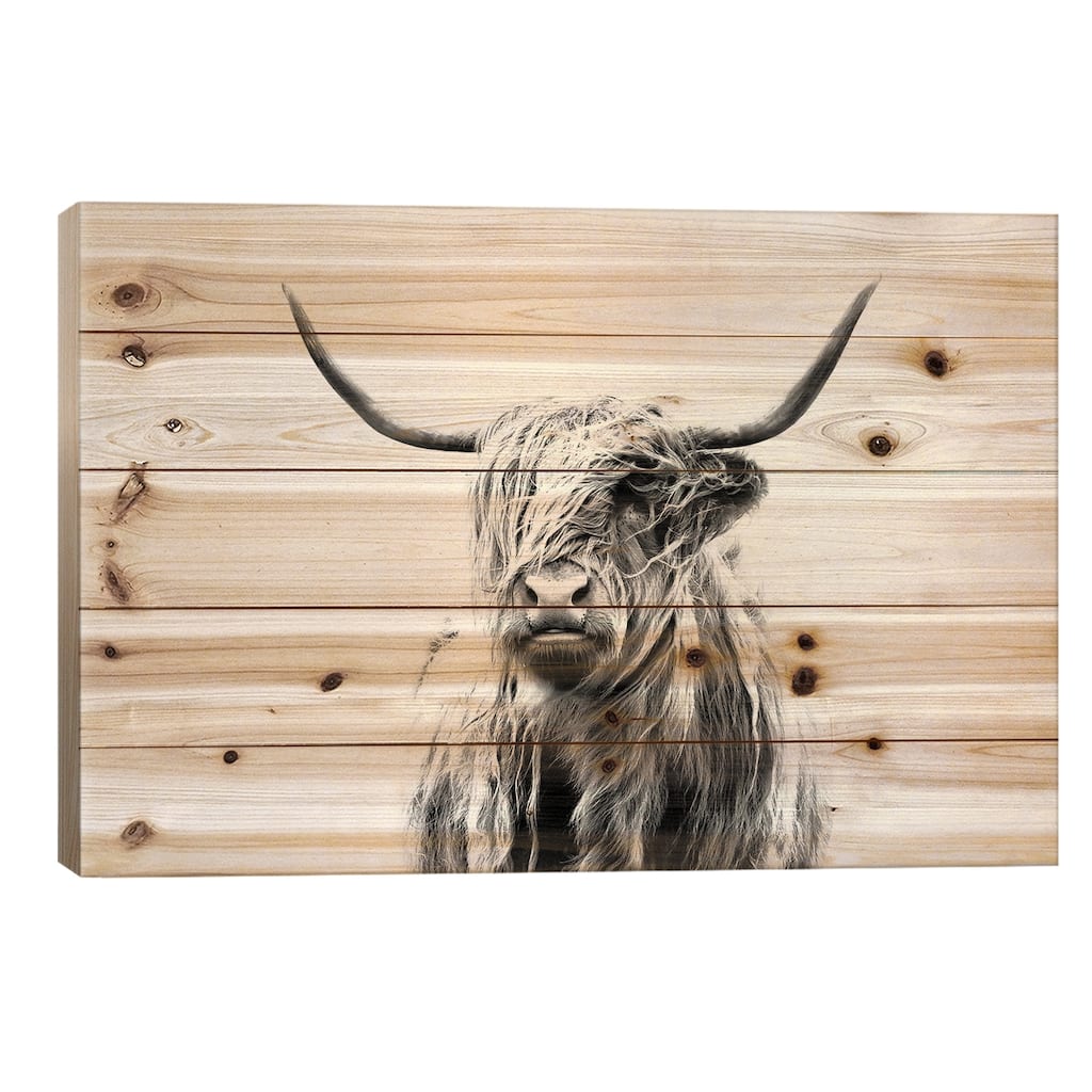 Portrait Of A Highland Cow Print On Wood by Dorit Fuhg - Multi-Color
