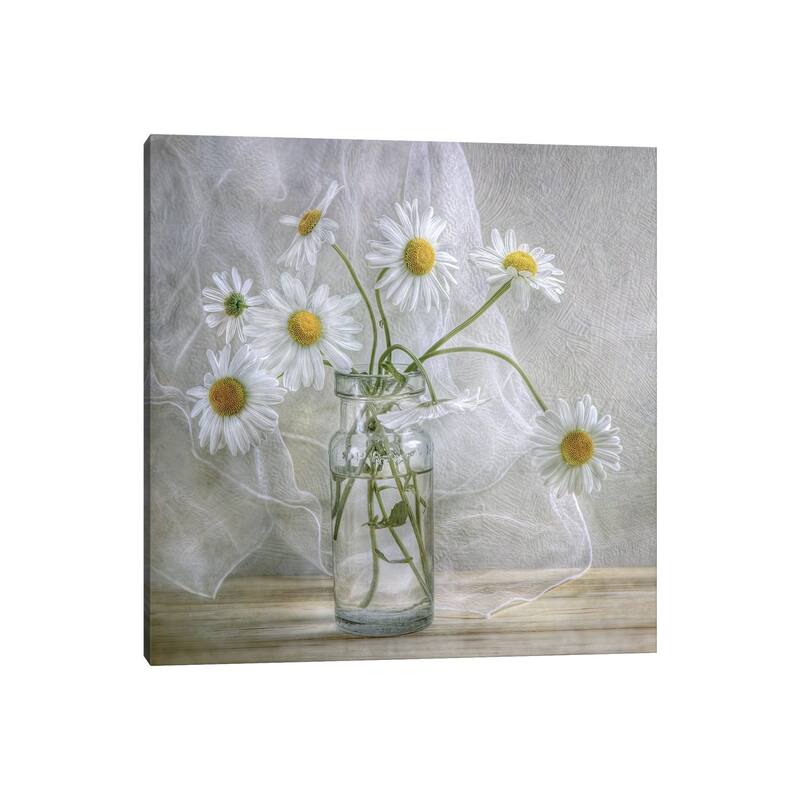 iCanvas "Daisies" by Mandy Disher Canvas Print