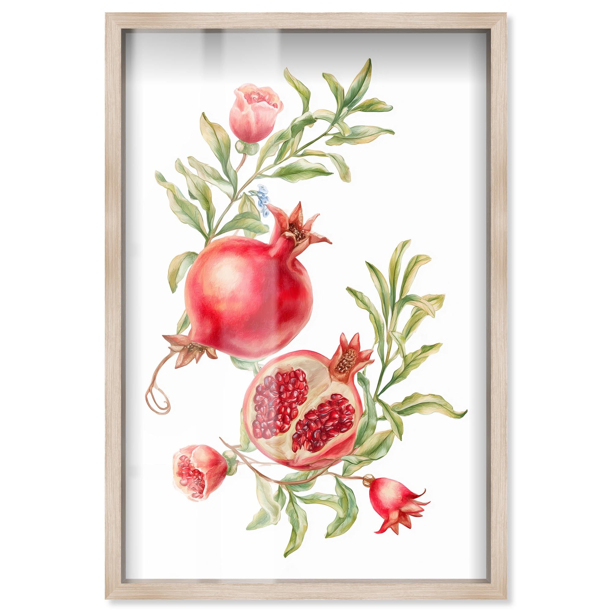 Pomegranate Bloom II Summer Prints Shadowbox Print by Art Remedy