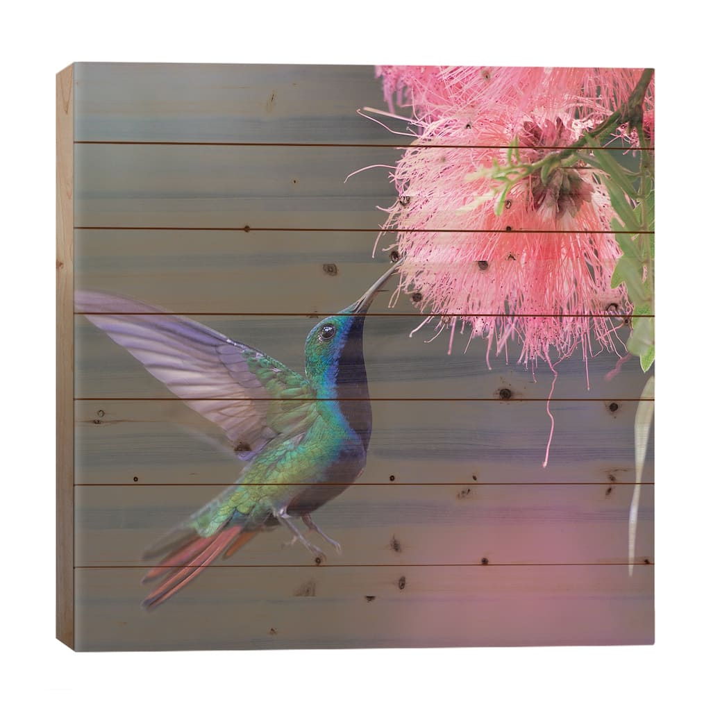 Green-Throated Mango Feeding, Trinidad Print On Wood by Tim Fitzharris - Multi-Color