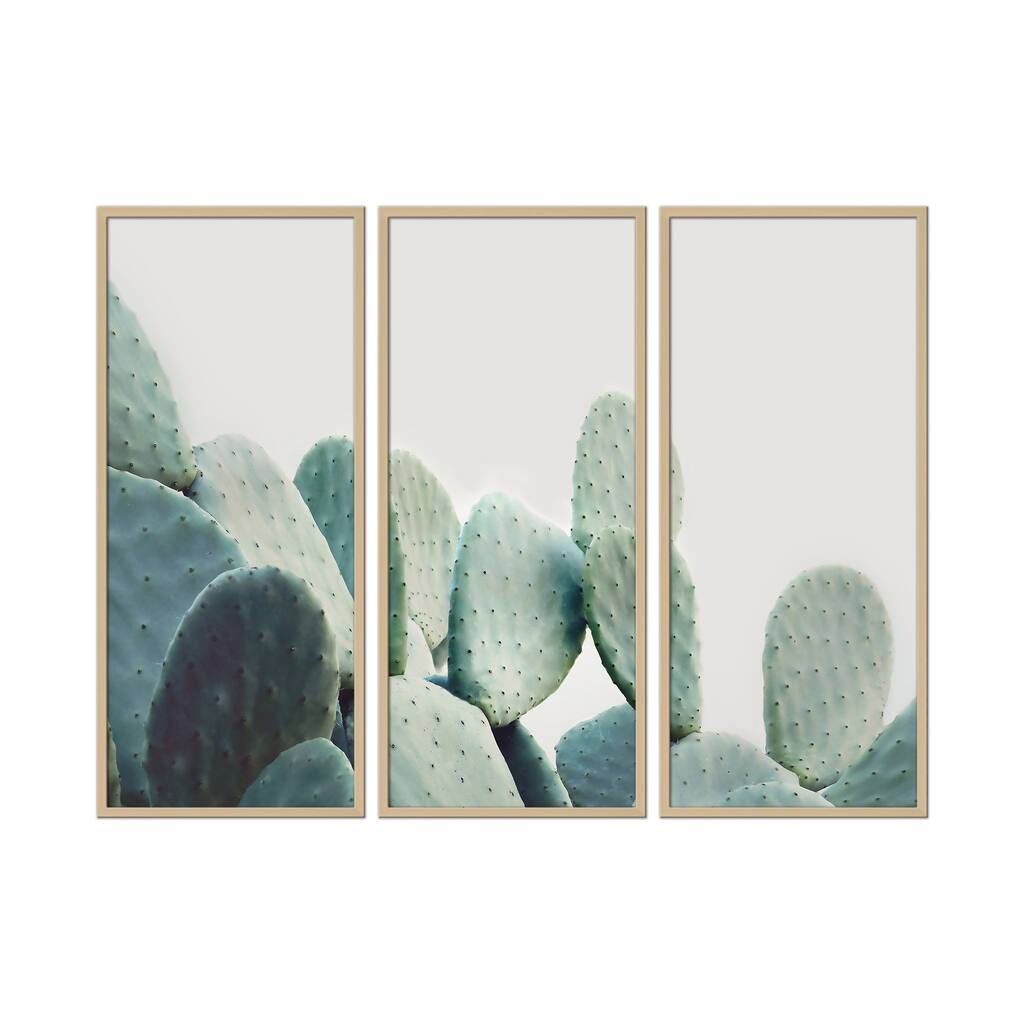 "Pastel Cactus" Framed 3-Piece Wall Art Set by Kathrin Pienaar