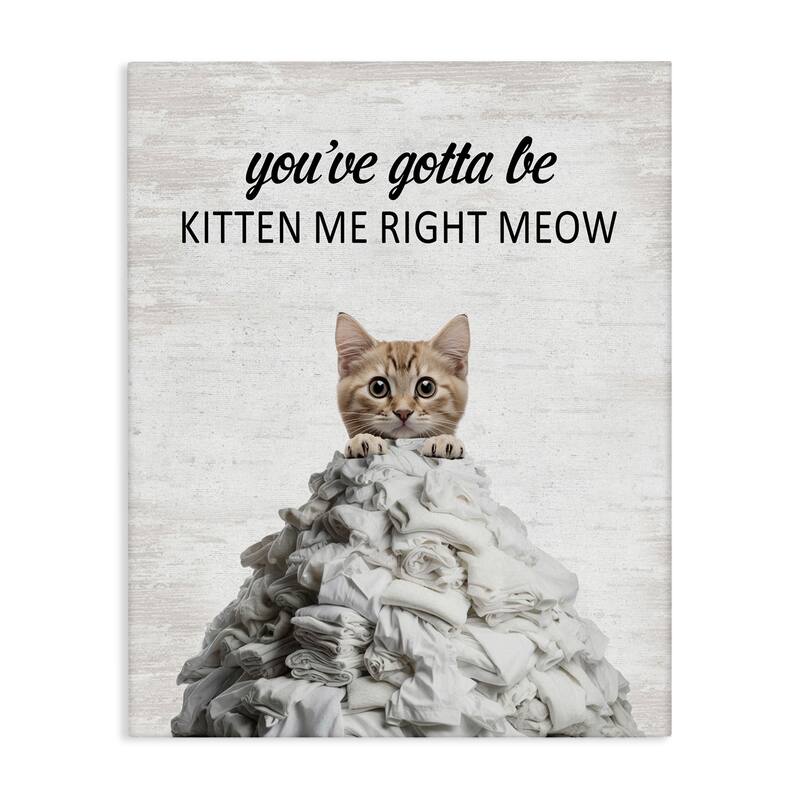 Stupell Kitten & Laundry Pile Canvas Wall Art Design By Lettered and Lined - 24 x 30